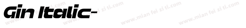 Gin Italic字体转换